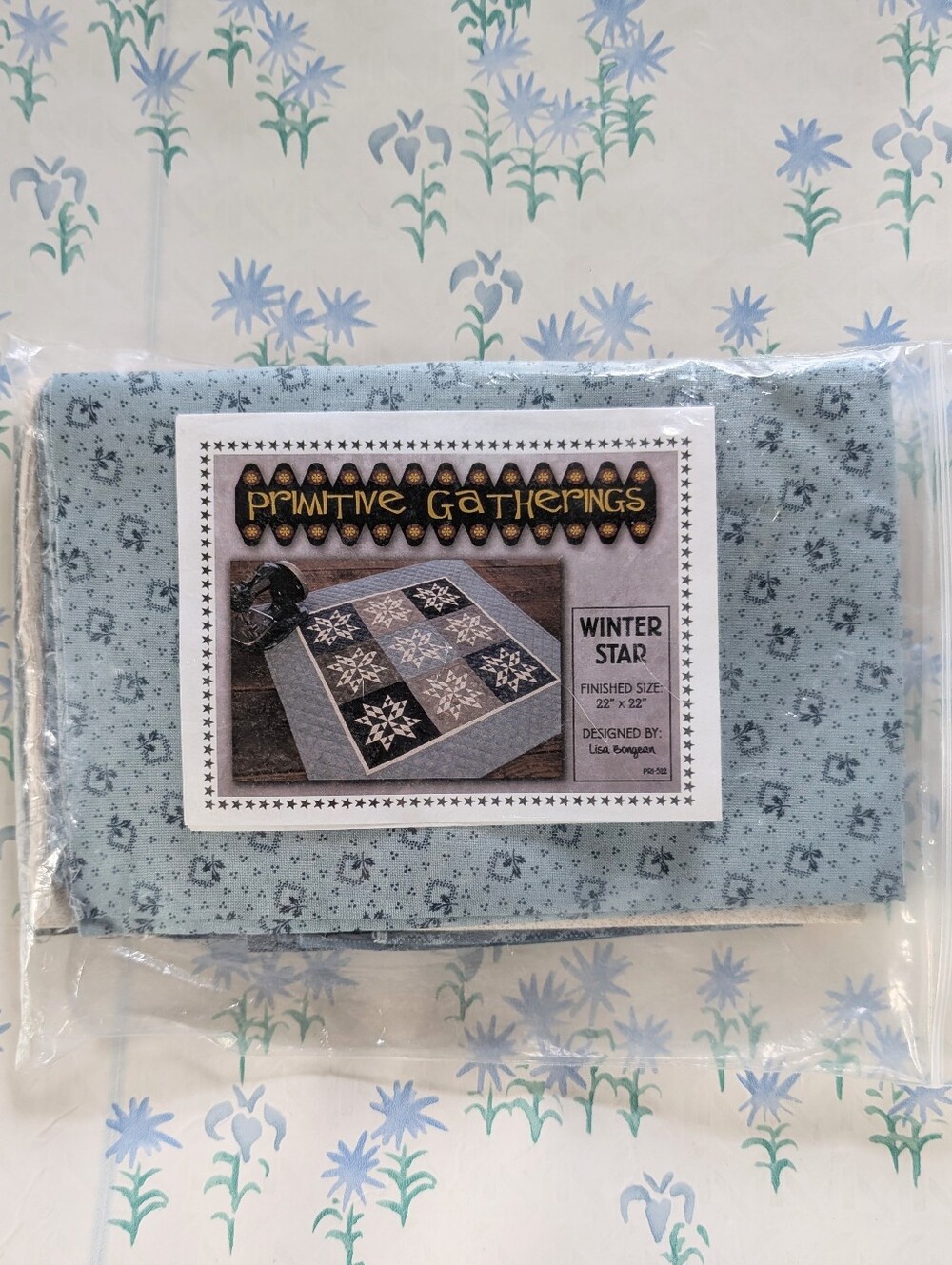 Primitive Gatherings Winter Star Quilt Kit NEW Blue Farmhouse Triangle Block DIY